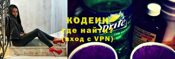 прущие грибы Бородино