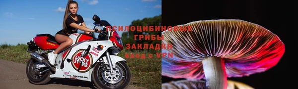 дмт Бронницы
