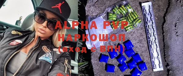 прущие грибы Бородино
