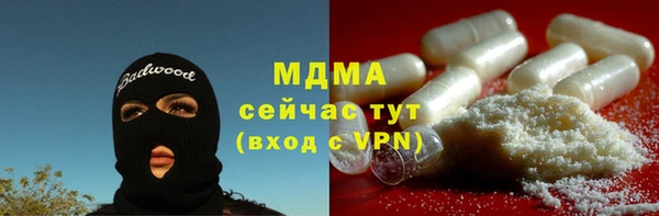прущие грибы Бородино