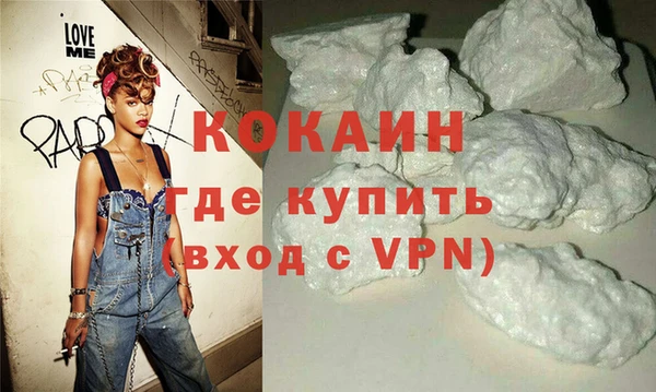 прущие грибы Бородино