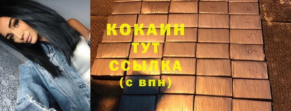 прущие грибы Бородино