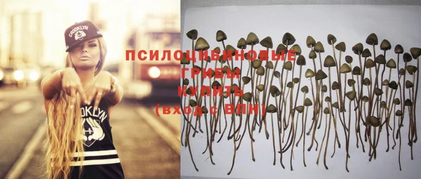 дмт Бронницы