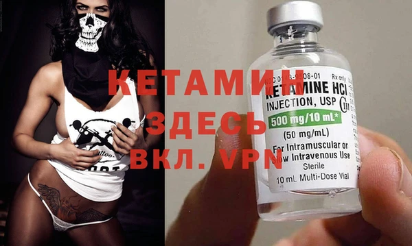 прущие грибы Бородино