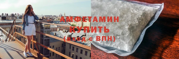 прущие грибы Бородино
