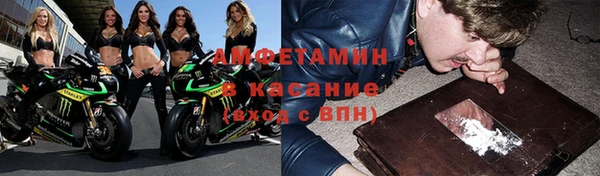 прущие грибы Бородино