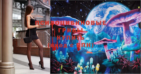 дмт Бронницы